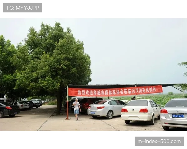 今夏多地体育赛事创新版权分成模式 助力内容创作者增收 今夏多地体育赛事创新版权分成模式 助力内容创作者增收